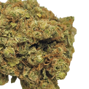 Fleur de CBD Amnésia OG Hydro – Bud premium hydroponique