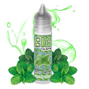 E-liquide Menthe Verte Big Juice 50ml – Fraîcheur végétale douce et naturelle