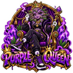 Fleur Purple Queen - Hydroponie