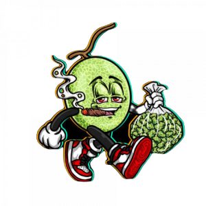Fleur Candy melon - CBD Glasshouse