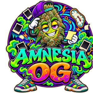 Amnesia OG