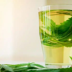 Tisane 30g